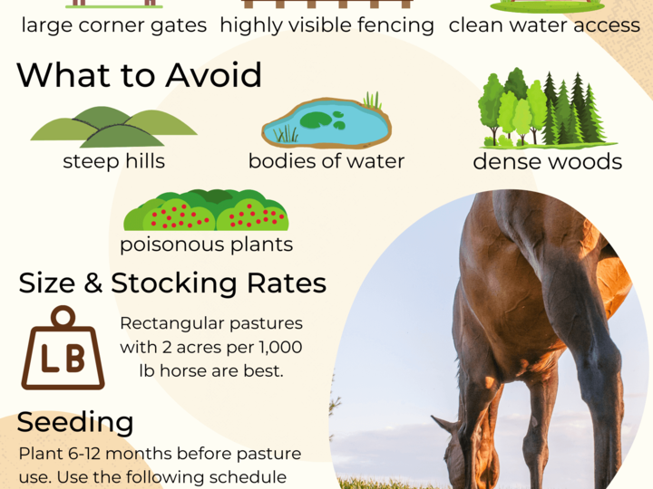 Planning Your Pasture