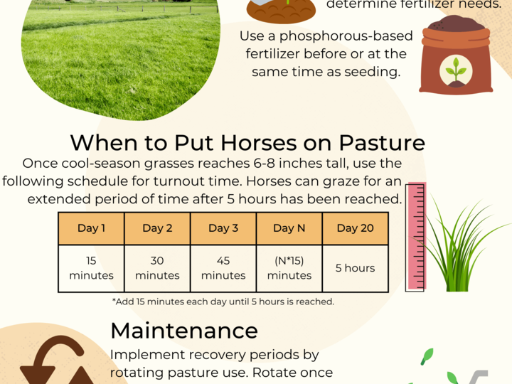 Caring for your Pasture infographic