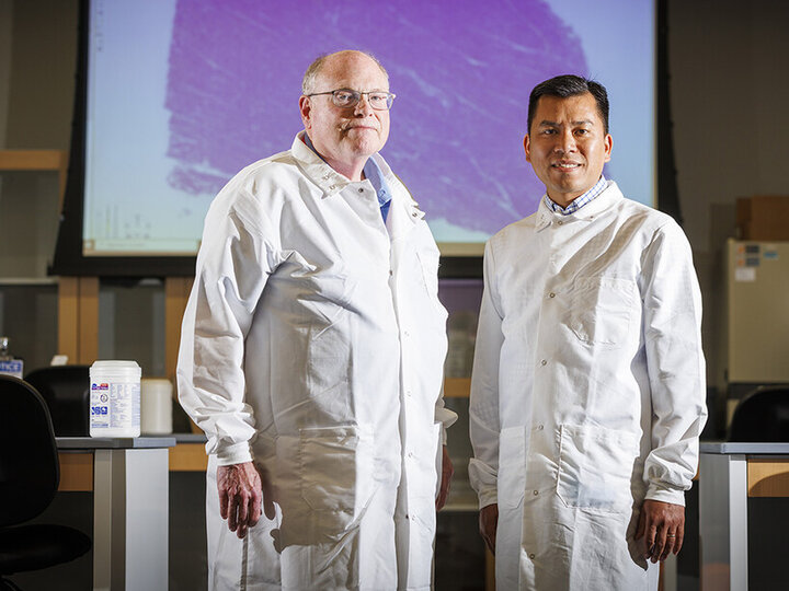 Scott McVey (left), professor and director of Nebraska’s School of Veterinary Medicine and Biomedical Sciences, and Hiep Vu, assistant professor of animal science at Nebraska, are working to catalog a pig’s protective proteins against the lethal African swine flu. Their work could lead to new breakthroughs in fighting the disease.