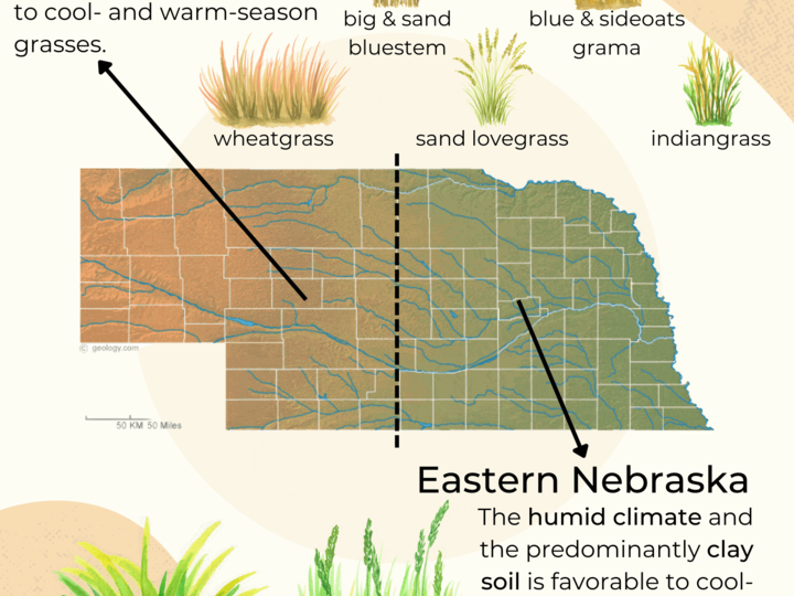 Forage: Pasture Varieties