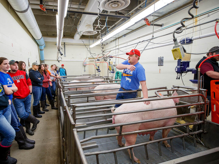 Benny Mote, assistant professor in Animal Science, lectures on artificial insemination to students in ASCI 150 - Animal Production Skills. 