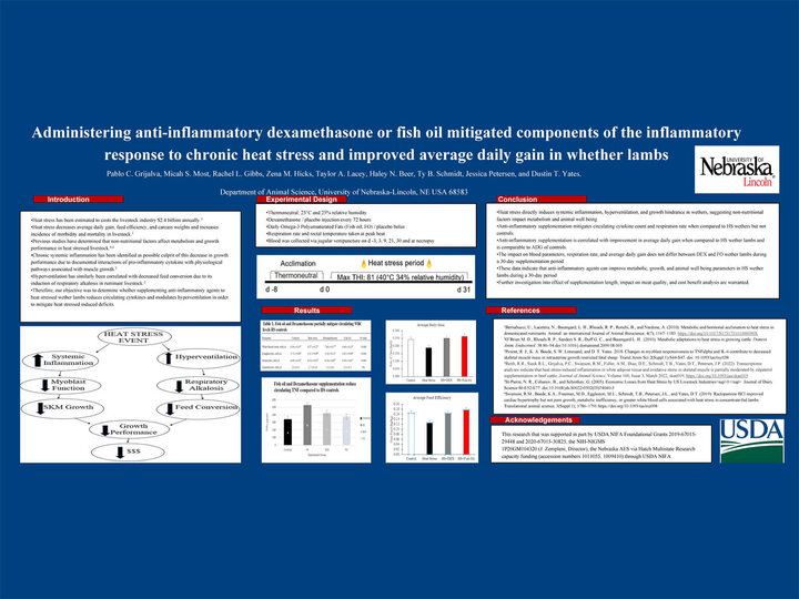 research poster