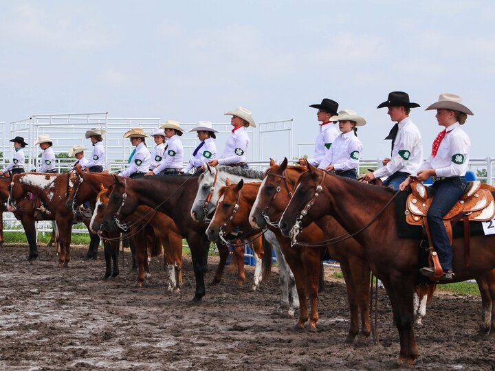 participants competing in a horse show