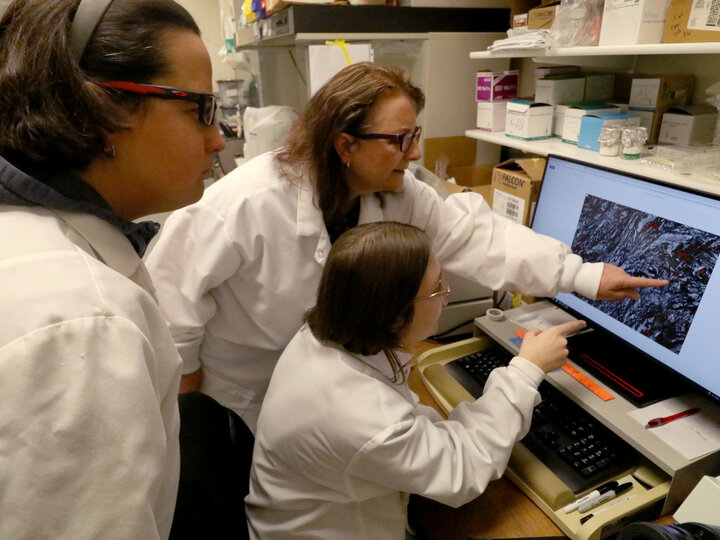 a student and faculty look over slides