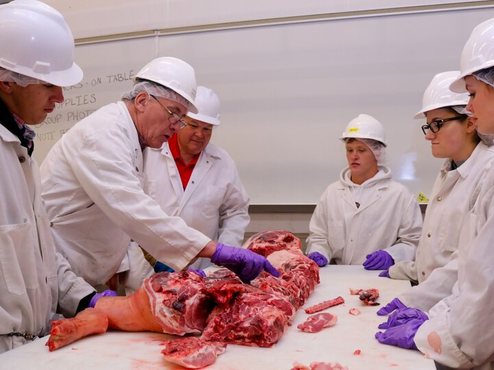 students learning about pork cuts