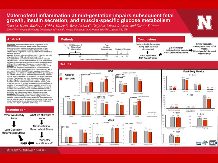 research poster