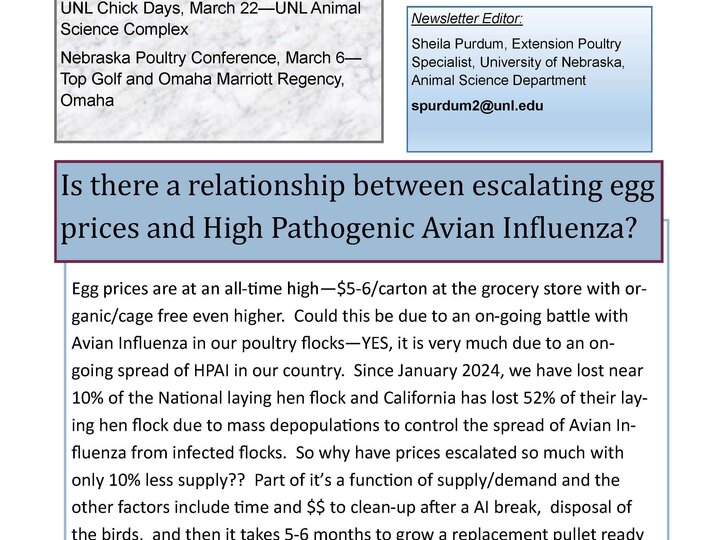 Winter 2025 Poultry Newsletter