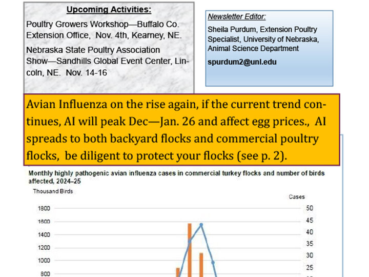 poultry newsletter fall 2025