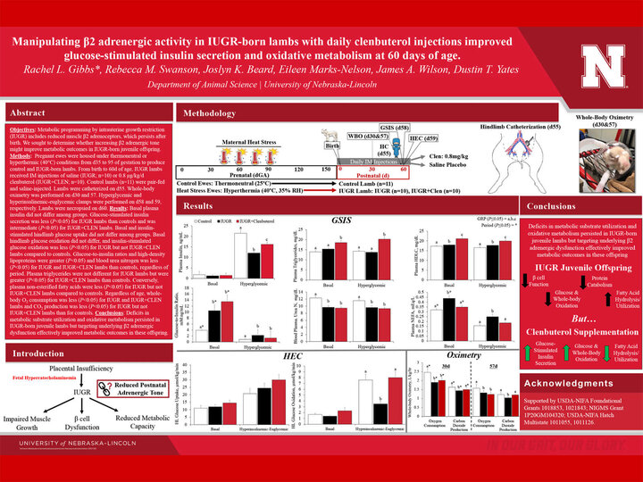 research poster