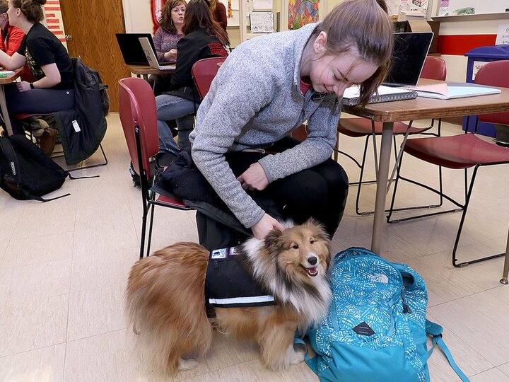 a student petting a therapy dog