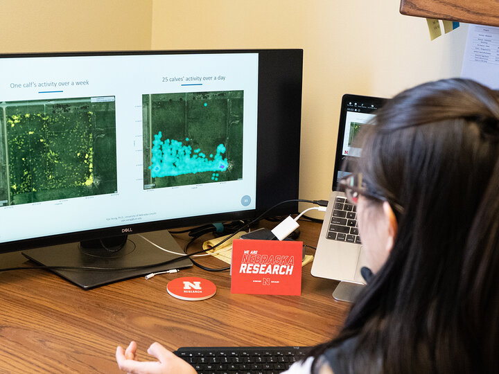 Assistant Professor Yijie Xiong looking at GPS data of cattle movements on a computer