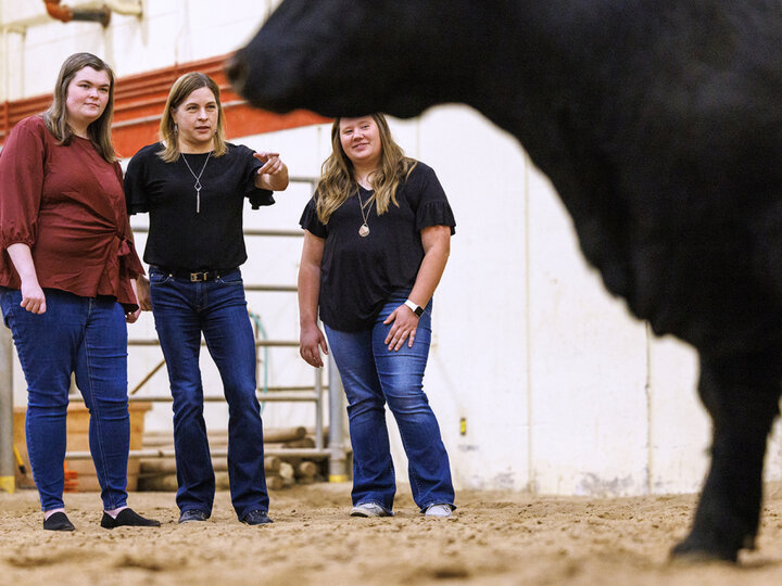 Jessica Petersen (center), associate professor of animal science, and graduate students Mackenzie Batt (left) and Lauren Seier (right) are part of a five-person Husker team whose research can expand the range of genetic tools used by breeders to boost cattle growth efficiency. An increase in feed efficiency of just 1% would save the U.S. cattle sector more than $11 million a year.