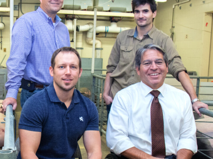 researchers in a swine facility