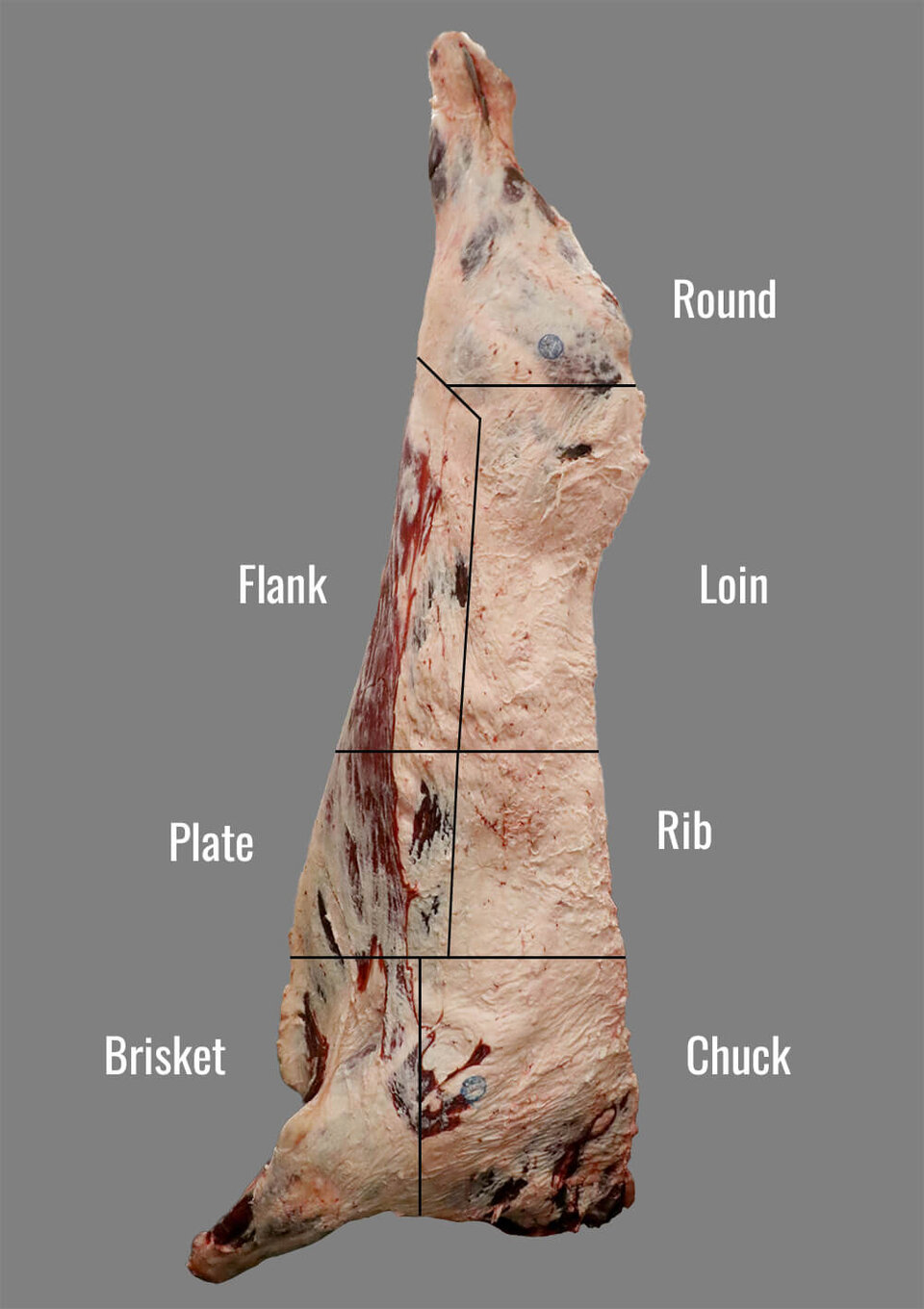 primal cuts of beef