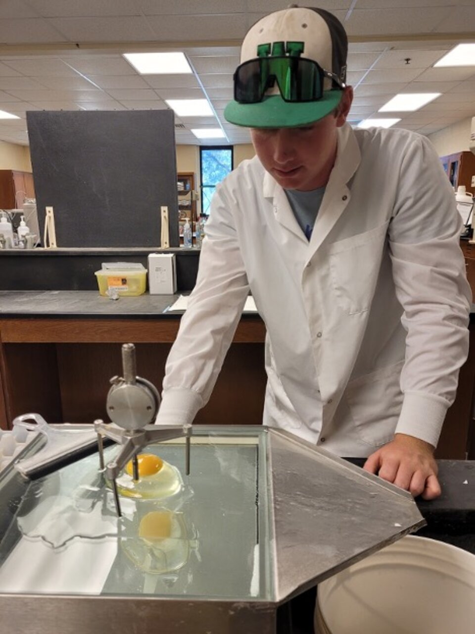 Brock young, a student at Wilber-Clatonia, measuring albumin height in the lab.