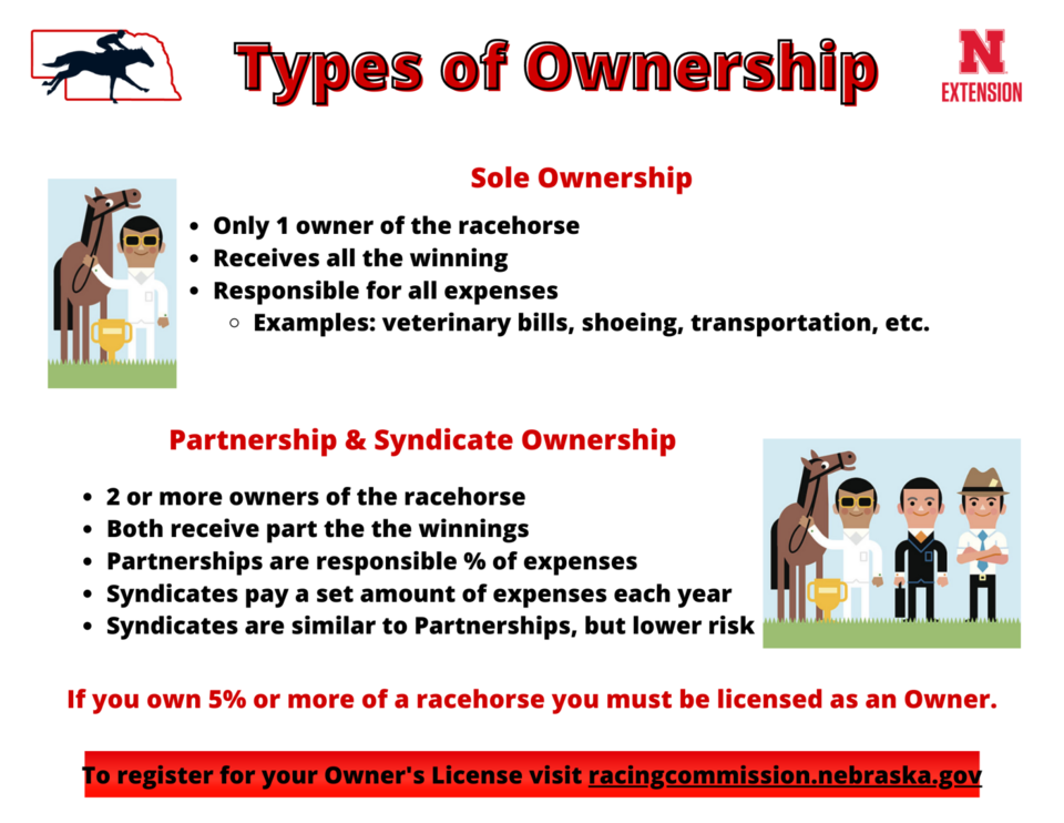 Types of Ownership Infographic