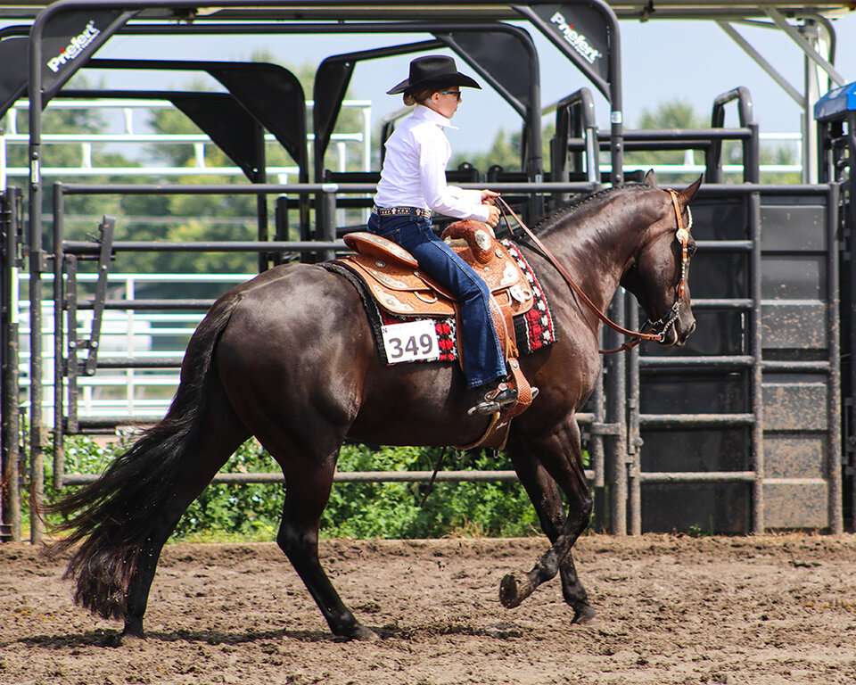 a young rider on a horse