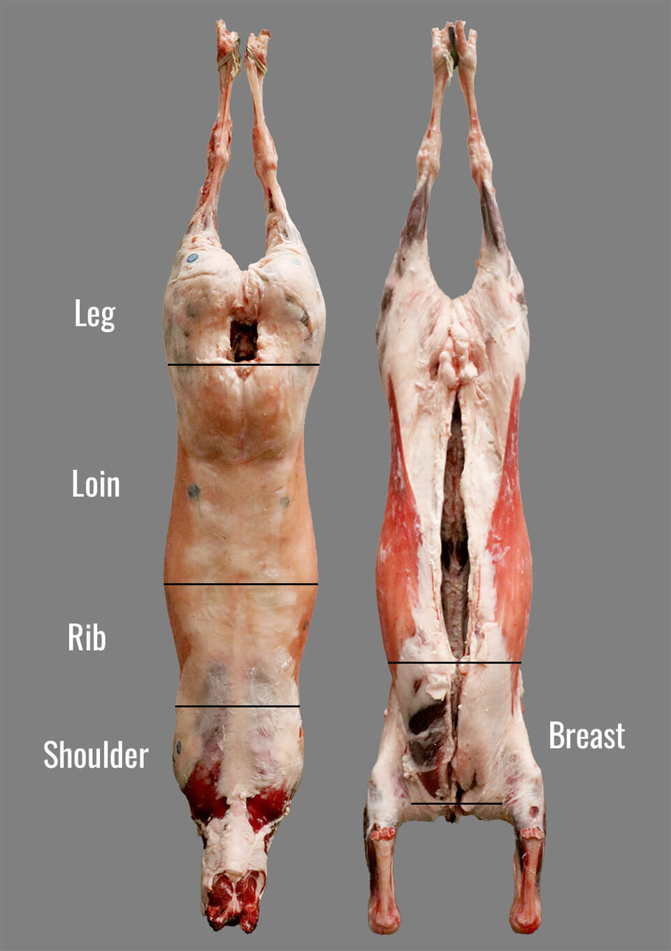 primal cuts of lamb