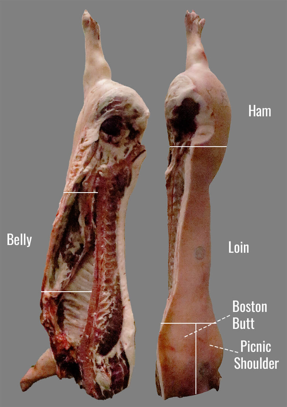 primal cuts of pork