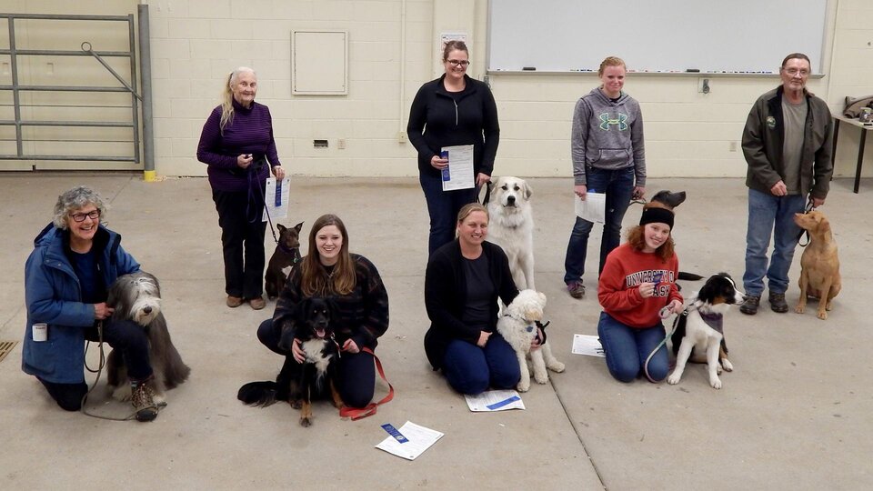 SEECA Dog Training class