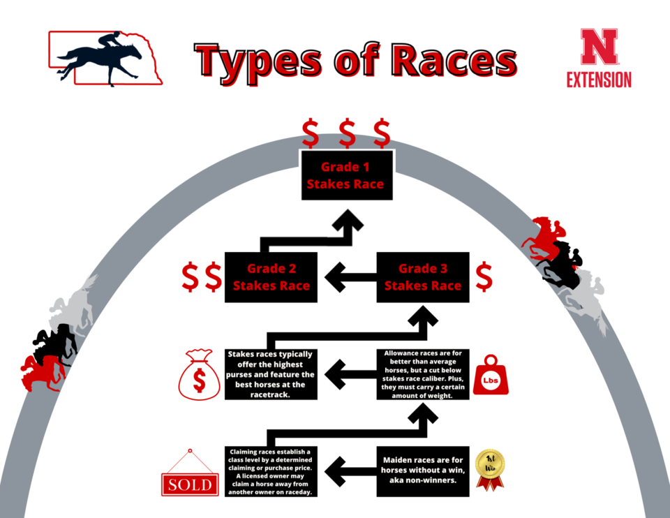 Types of Races Infographic