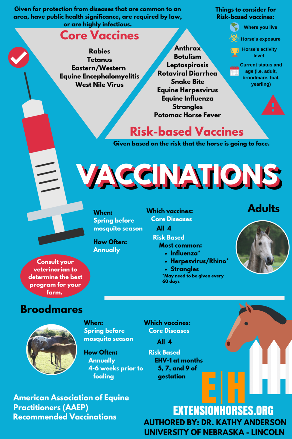 an infographic about vaccinating horses