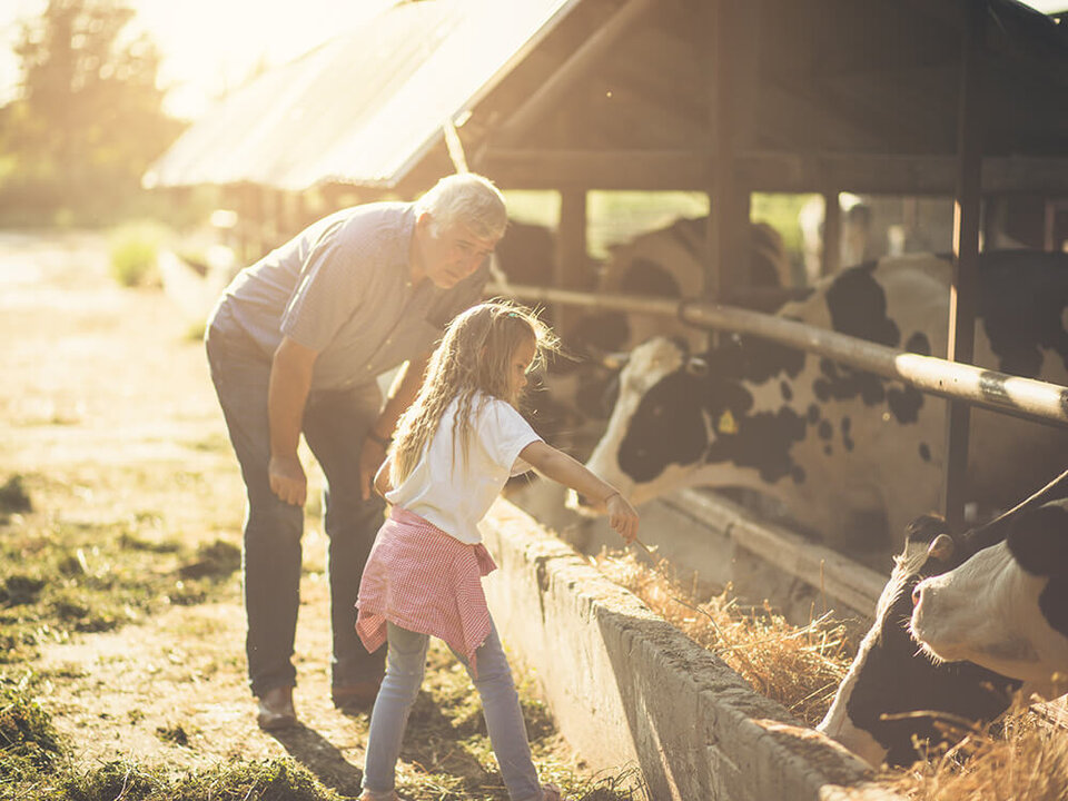 a grandfather and grandchild on a farm